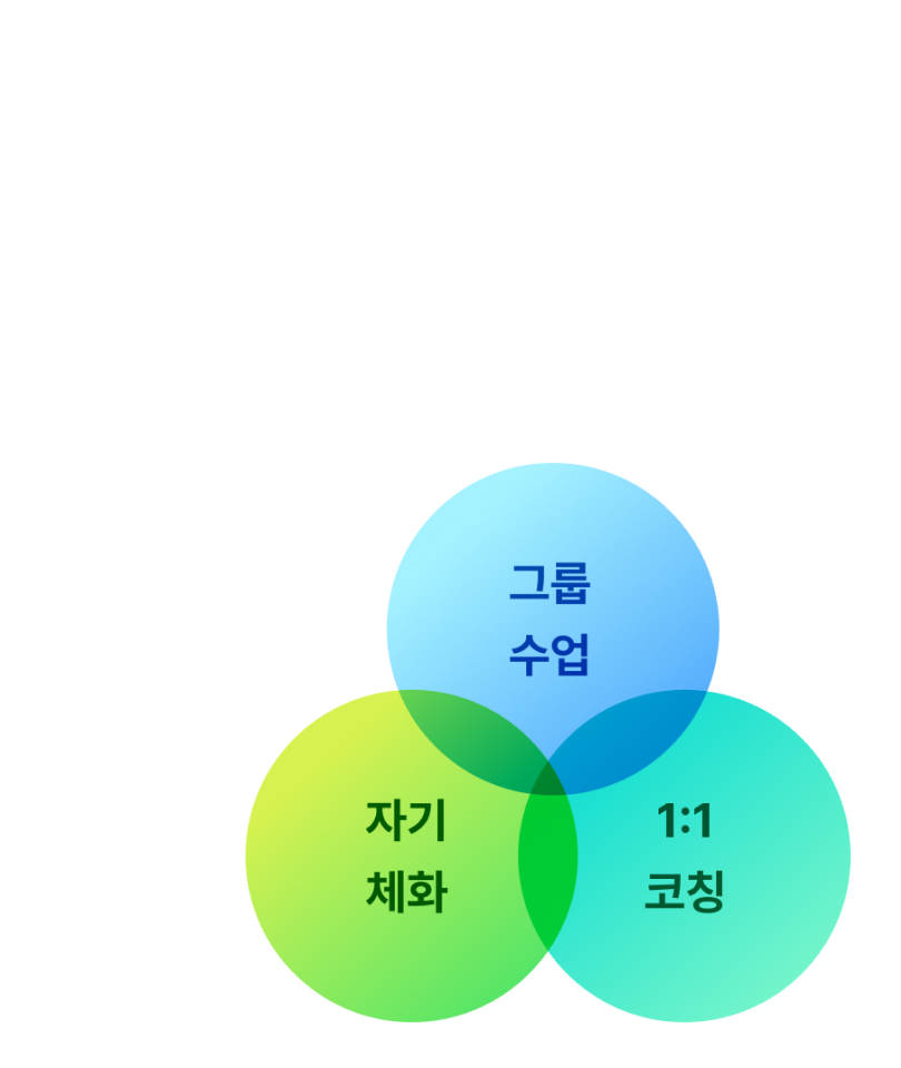 그룹수업, 자기체화, 1:1코칭